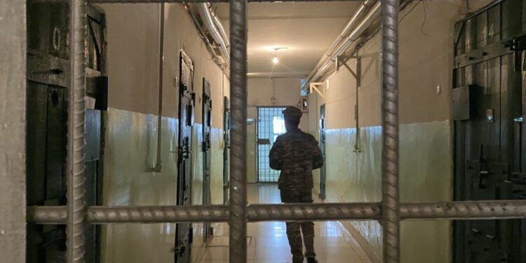 “Лимонти” каймана аттуу кримтөбөлдүн бир тууганы кармалганы айтылды