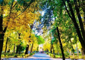 9-октябрга карата өлкөдө күтүлгөн аба ырайы