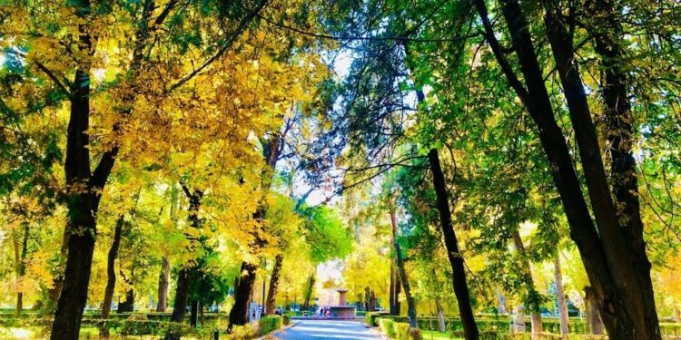 9-октябрга карата өлкөдө күтүлгөн аба ырайы