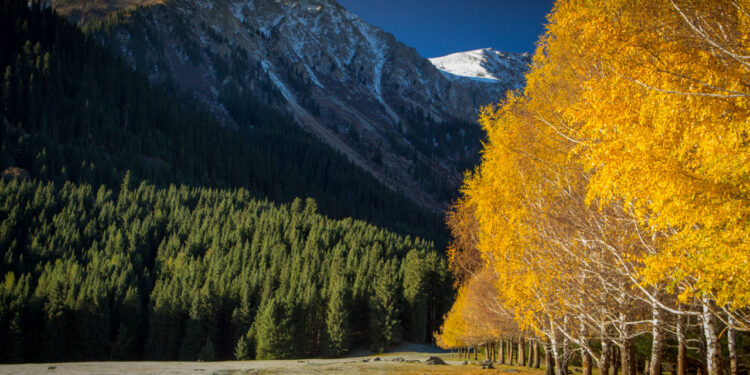 10-октябрга карата өлкөдө күтүлгөн аба ырайы