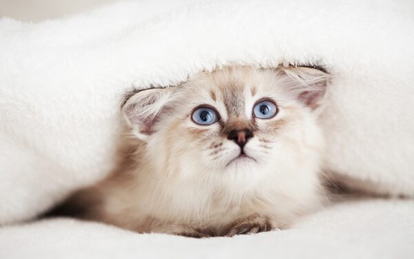 13-15-октябрда Кыргызстандын аймагында туруксуз аба ырайы күтүлөт