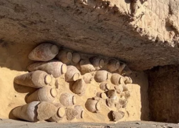 Египетте 5 миң жыл мурун шарап куюлган жүздөгөн кумураларды табышты