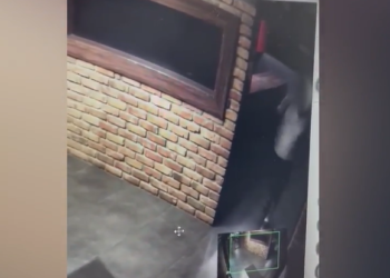 Бишкектеги кафеде кызматкердин сумкасын уурдаган жаран видеого түшүп калган