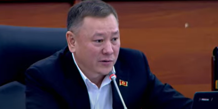 «Эки жумуш кылып жатат». Депутат «электрондук мектеп» мугалимдерди кыйнап жатканын айтты