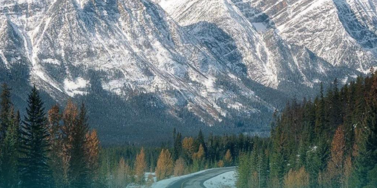 Өлкөнүн ашууларындагы жолдордун абалы тууралуу маалымат