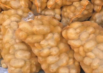 Бишкектеги «Сары-Өзөн» базарында картошка 14-15 сомдон сатылып жатат (видео)