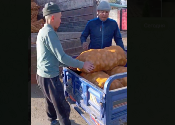 Ат-Башыда муктаждарга жана медреселерге деп арпа, картошка чогултушту (видео)