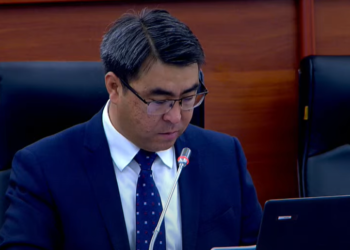 Жанар Акаев: «Улан Эгизбаев көр сатуу боюнча көтөрүп чыккандан кийин 3 кылмыш иши козголгон. Алар эмне болду?»