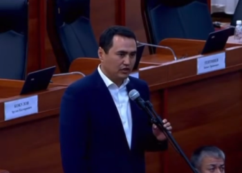 Депутат акыркы 3 жылда 600дөй окуучу өз жанын кыйганын айтты