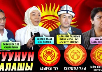 Туунун өзгөртүлүшүн колдойсузбу? Депутаттардын позициясы