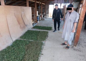 Ысык-Көлдө 9 килограмм баңгизат менен Чүйдүн тургуну кармалды