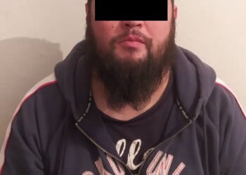 Ысык-Көлдө уюшкан кылмыштуу топтун мүчөсү жарандын жер тилкесин башкага жаздырып бермек болгон