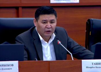 Депутат: «Үйүнүн техпаспорту жоктор балдарын мектепке, бала бакчага бере албай жатат»