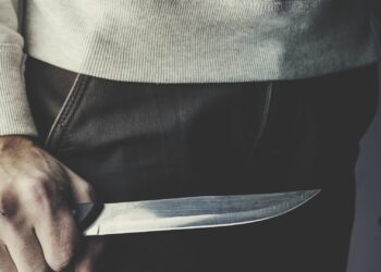 «Мойнуна бычак такашкан». Ошто үйдө уктап жаткан жаран тонолгон