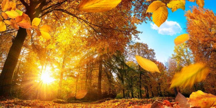 29-ноябрда өлкөдө күтүлгөн аба ырайы