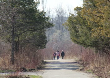 Бишкекте изделип жаткан 20 жаштагы кыздын жансыз денеси Ботаникалык бактан табылды