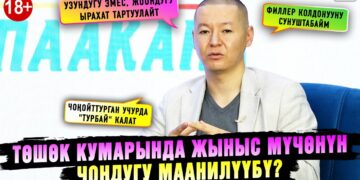 18+ Төшөк кумарында жыныс мүчөнүн чоңдугу маанилүүбү? Уролог жооп берет