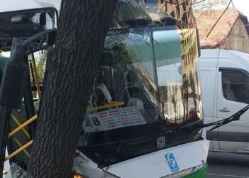 Жол кырсыгына кабылган № 48 автобустун айдоочусу иштен алынды. Ал автобусту калыбына келтирет