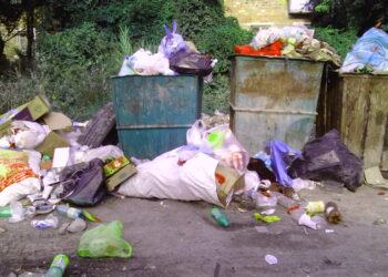 Жалал-Абадда да 18 жаштагы кыз ымыркайын таштандыга таштаганы айтылууда