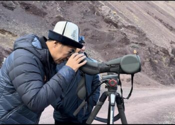 Депутат фото-курал менен илбирске аңчылыкка чыгып, олжолуу кайтканын билдирди