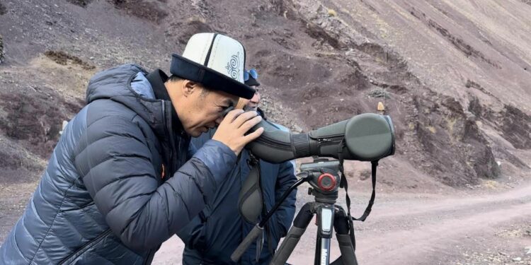 Депутат фото-курал менен илбирске аңчылыкка чыгып, олжолуу кайтканын билдирди