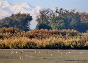 Чүй өрөөнүндөгү күз фотографтын көзү менен (сүрөттөр)