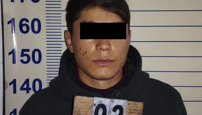 Чүйдө кайниси жездесин балка менен башка чапкан