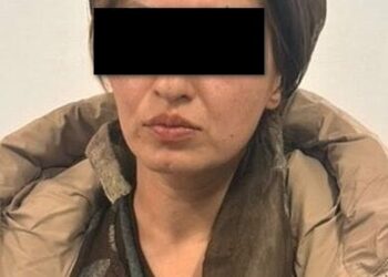 ИИМ: Кыймылсыз мүлктөргө жана жер тилкелерине байланышкан алдамчылыкка шектүү кармалды