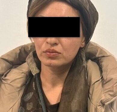 ИИМ: Кыймылсыз мүлктөргө жана жер тилкелерине байланышкан алдамчылыкка шектүү кармалды