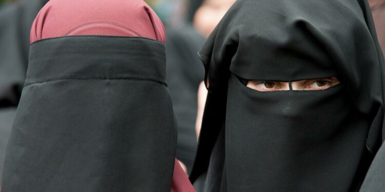 Өлкөдө паранжа кийгендерге, сакал коюуга айып салуу каралып жатат. Мыйзам коомдук талкууга коюлду