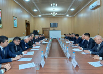 Кыргыз-тажик чек арасынын 17,98 чакырымы макулдашылды