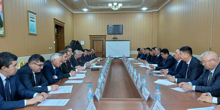 Кыргыз-тажик чек арасынын 17,98 чакырымы макулдашылды