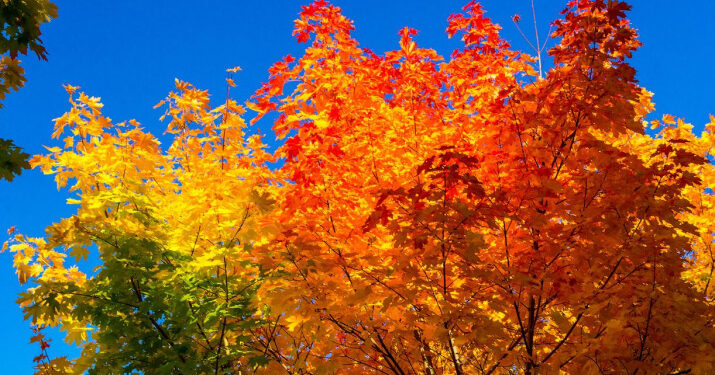 25-ноябрда өлкөдө күтүлгөн аба ырайы