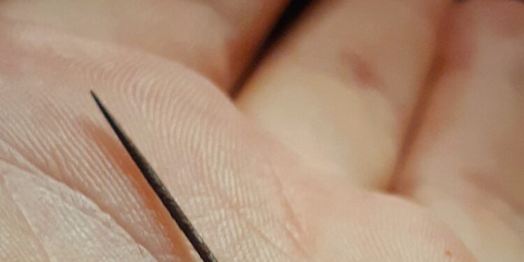 Ала-Букада «мугалим окуучуга 17 жолу ийне сайган» деген маалымат териштирилип жатат