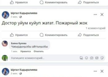 Экс-депутат Ыргал Кадыралиева үйү өрттөнүп жатканын жазды