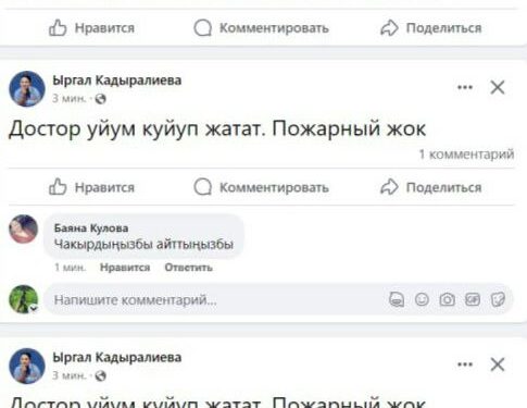 Экс-депутат Ыргал Кадыралиева үйү өрттөнүп жатканын жазды