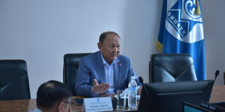 Бишкектин экс-мэри президенттин Ысык-Көлдөгү өкүлү болуп дайындалды