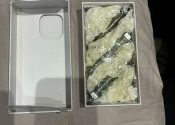 Ошто унаасын сатууну каалаган жаранга кутудагы Айфондорду таштап кеткен. Аны ачкан жаран милицияга кайрылды