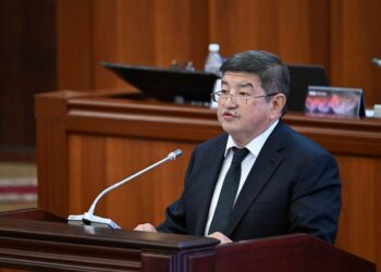 «Кыргыз-өзбек чек арасын делимитациялоо процесси аяктады» дейт Жапаров