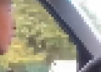 Унаа башкарып, сөгүнгөн окуучулар. Өспүрүмдүн атасына 15 миң сом айып салынды