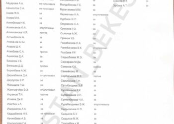 Тууну өзгөртүү боюнча кайсы депутат кандай добуш берди? Тизме
