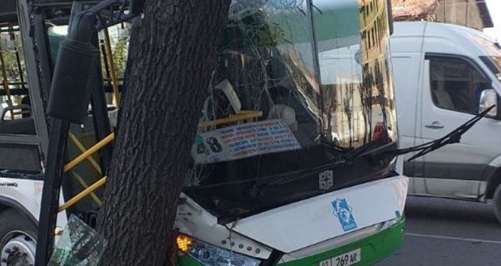 Бишкекте автобус айдоочу бакты сүзүп, 5 адам жабыркады