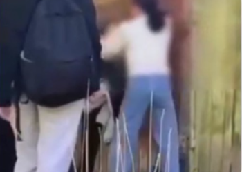 «Ким күчтүү экенин далилдемек». Караколдо мушташып жаткан окуучу кыздардын видеосу тараган