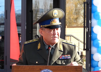 «Сакал кой, жоолук салын, бирок тартиби менен болсун». Камчыбек Ташиев өз позициясын билдирди