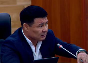 Жогорку Кеңеште микрофонго «Алло» деген депутат көпчүлүктү күлдүрдү (видео)