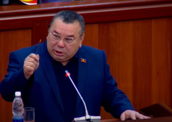 Депутат «Жогорку Кеңештин кыларга иши жокпу? Иштебесе кетсин» дегендерге жооп берди