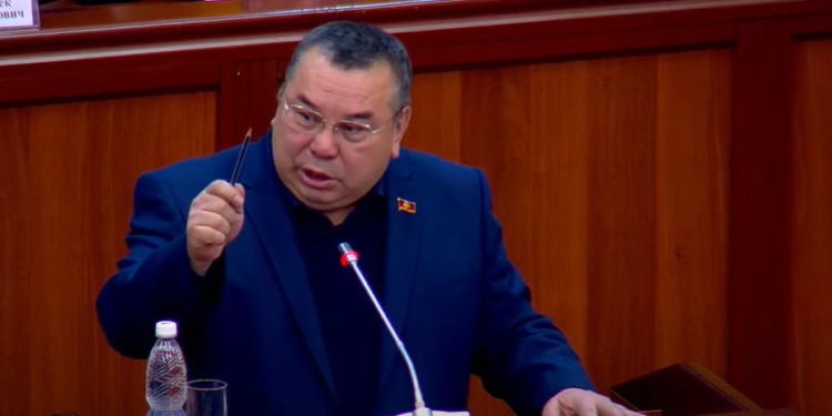 Депутат «Жогорку Кеңештин кыларга иши жокпу? Иштебесе кетсин» дегендерге жооп берди