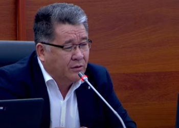 Депутат демилгечиге жаңы туу боюнча: «Күндүн нурлары «мыйзамдагы уурулардын» жылдызына окшош эмеспи?»