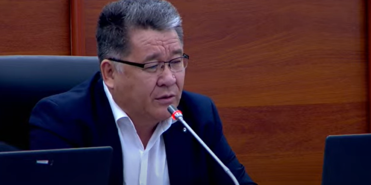 Депутат демилгечиге жаңы туу боюнча: «Күндүн нурлары «мыйзамдагы уурулардын» жылдызына окшош эмеспи?»