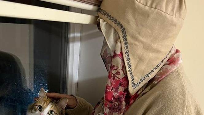 Кулак-мурду кескиленген келин өзүн күзгүдөн көргөнүн айтты